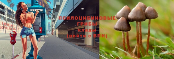 эйфоретик Михайловск