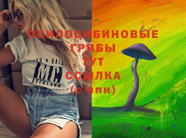 эйфоретик Михайловск
