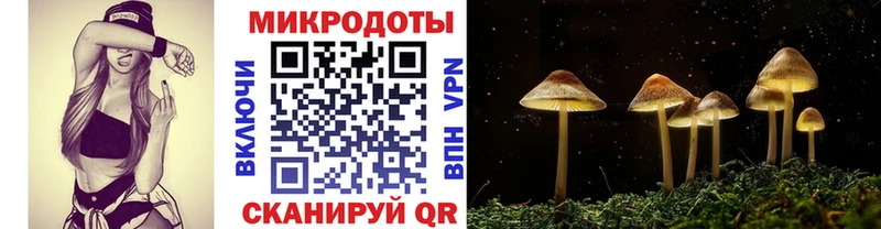 Галлюциногенные грибы прущие грибы  Новосибирск 